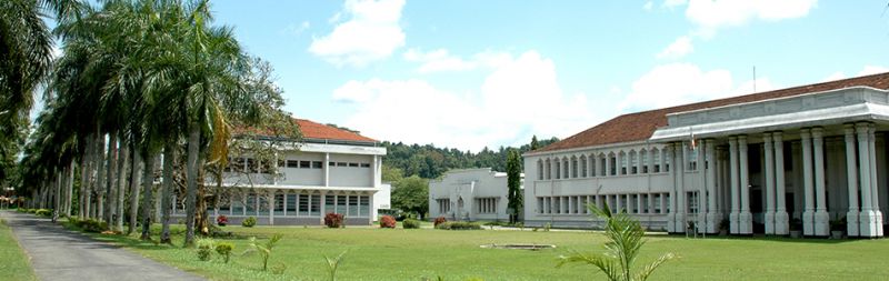 Peradeniya University Engineering